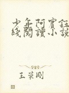 少年阿宾钰慧在线阅读小说txt