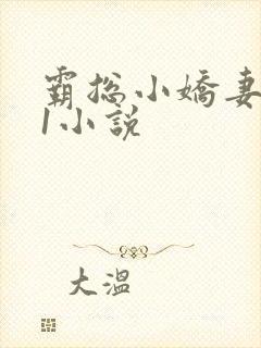 霸总小娇妻1v1小说封面