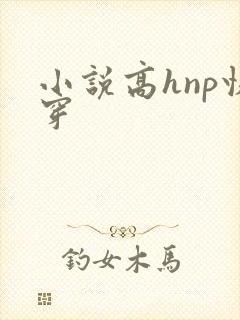小说高hnp快穿