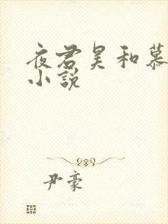 夜君昊和慕初晨小说