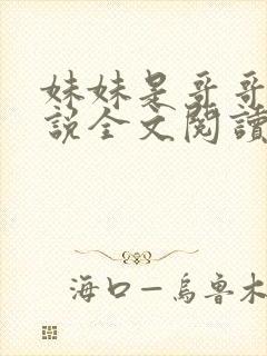 妹妹是哥哥的小说全文阅读