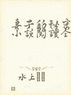 妻子的秘密吴双小说阅读全文