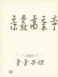 免费看天亮了,你就回来了小说