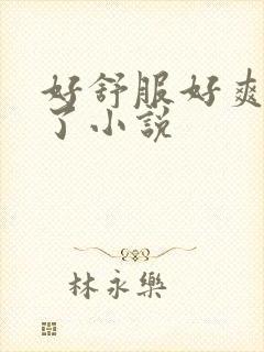 好舒服好爽高潮了小说