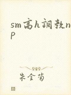 sm高h调教np