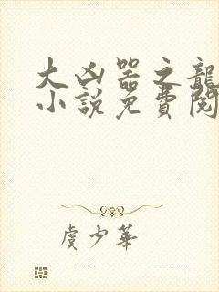 大凶器之龙傻子小说免费阅读