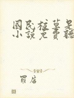 国民校草是女生小说免费听书