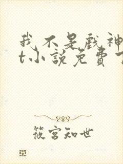 我不是戏神txt小说免费下载