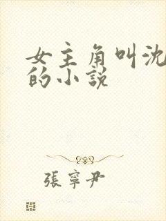 女主角叫沈初夏的小说