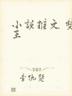 小说推文 双女主