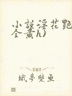 小说淫花艳史(全黄h)