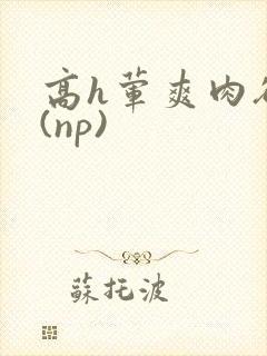 高h荤爽肉欲文(np)