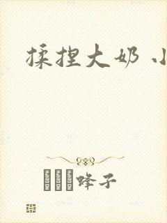 揉捏大奶 小说