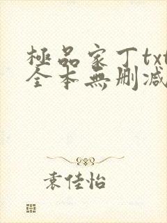 极品家丁txt全本无删减