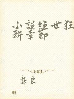 小说绝世狂医最新章节封面