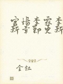 官场李霖李澜最新章节更新时间封面