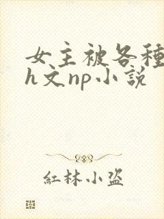 女主被各种调教h文np小说