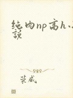 纯肉np高h小说