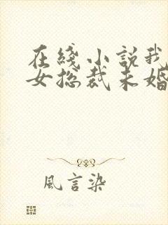 在线小说我的美女总裁未婚妻