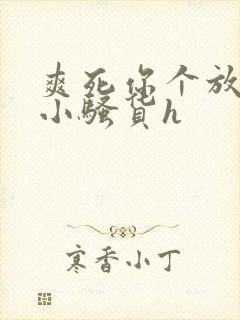 爽死你个放荡的小骚货h