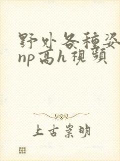 野外各种姿势被np高h视频
