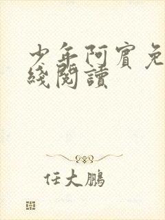 少年阿宾免费在线阅读