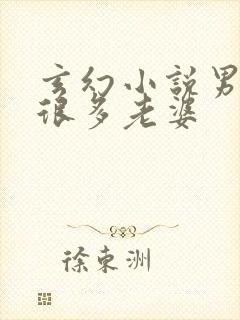 玄幻小说男主有很多老婆