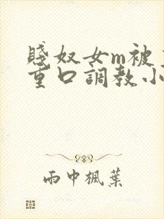 贱奴女m被主人重口调教小说封面