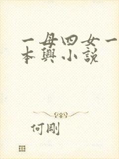 一母四女一婿胡本兴小说封面