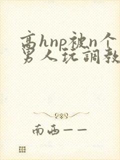 高hnp被n个男人玩调教