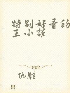 特别好看的双男主小说封面