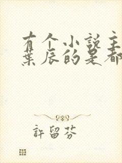 有个小说主角叫叶辰的是都市什么小说