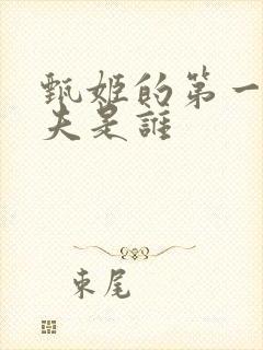 甄姬的第一任丈夫是谁