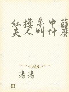 红楼梦中薛蟠的夫人叫什么