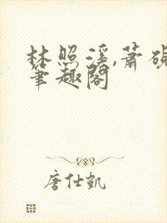 林照溪,萧砚川笔趣阁封面