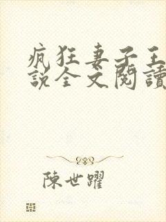 疯狂妻子王慧小说全文阅读