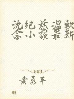 沈纪慈温软许念念小说最新章节更新封面