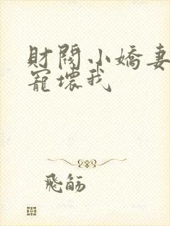 财阀小娇妻叔你宠坏我