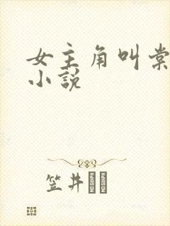 女主角叫棠梨的小说封面