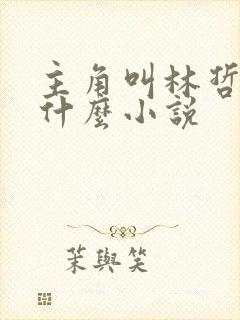 主角叫林哲的是什么小说