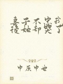 妻子不忠我成全后她却哭了小说封面