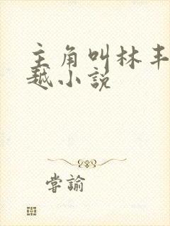 主角叫林丰的穿越小说