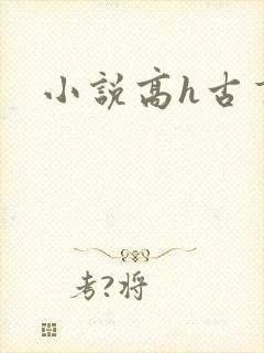 小说高h古言