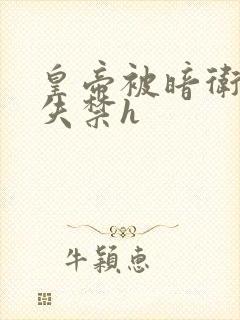 皇帝被暗卫肉到失禁h封面