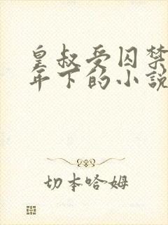 皇叔受囚禁生子年下的小说叫什么