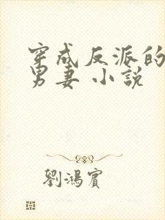 穿成反派的炮灰男妻 小说