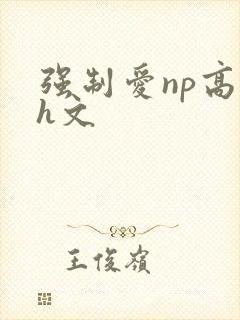 强制爱np高辣h文