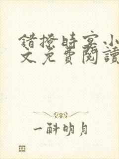 错撩时宴小说全文免费阅读无弹窗