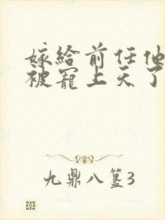 嫁给前任他叔后被宠上天了封面