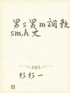 男s男m调教(sm,h文